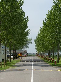 sheerness-holiday-park-1.jpg