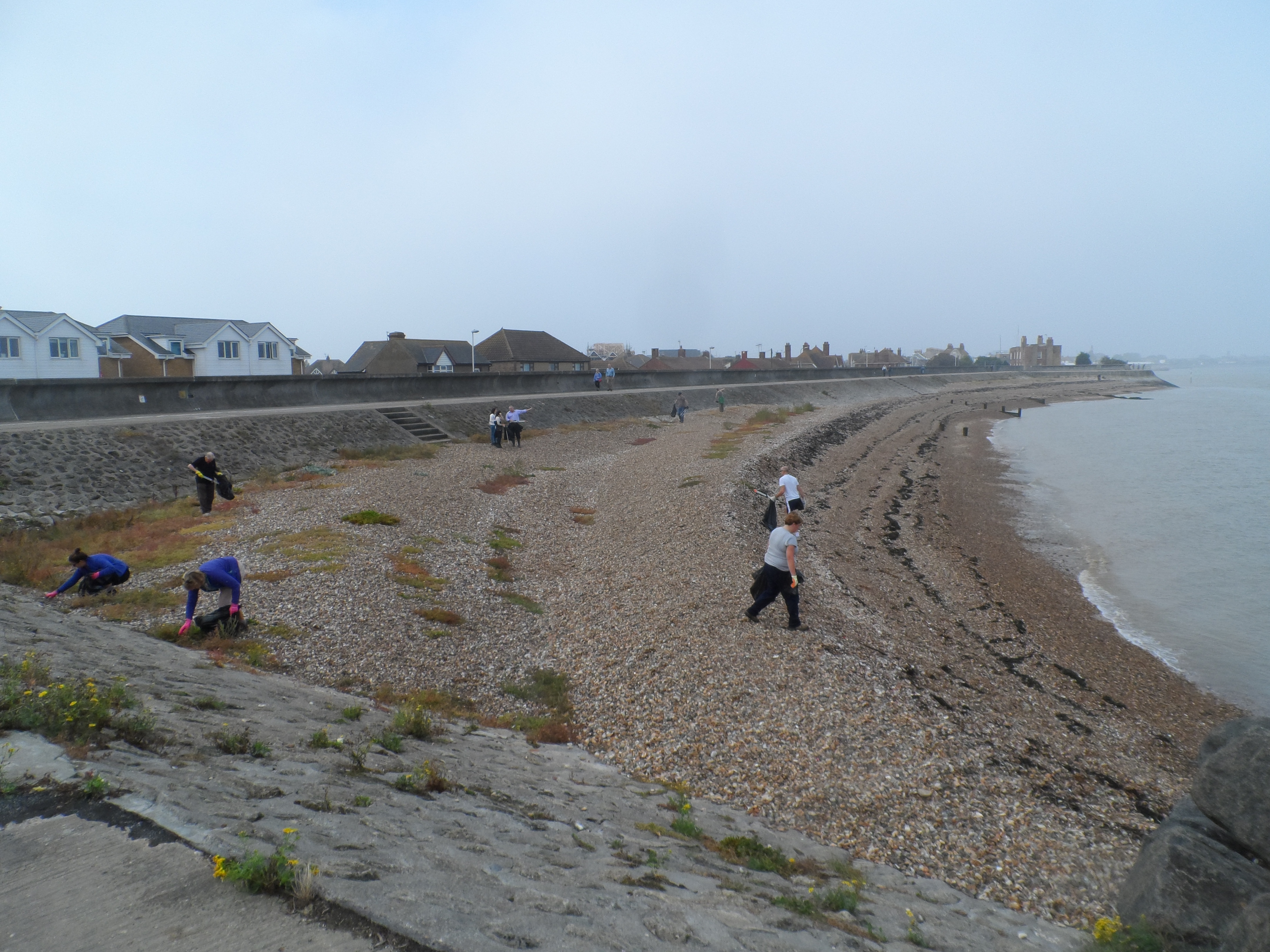 Sheerness Beach Cleaning