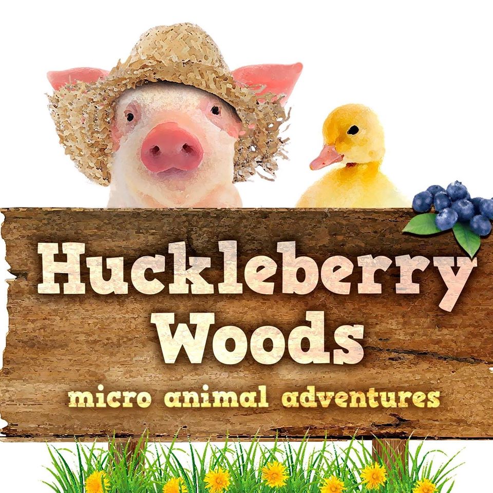 Huckleberry Micro Woods Logo