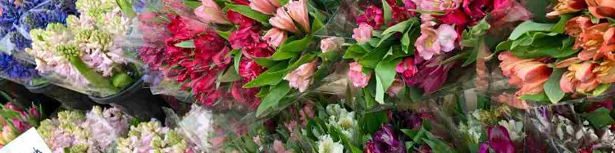 Faversham Market Flowers Website Image