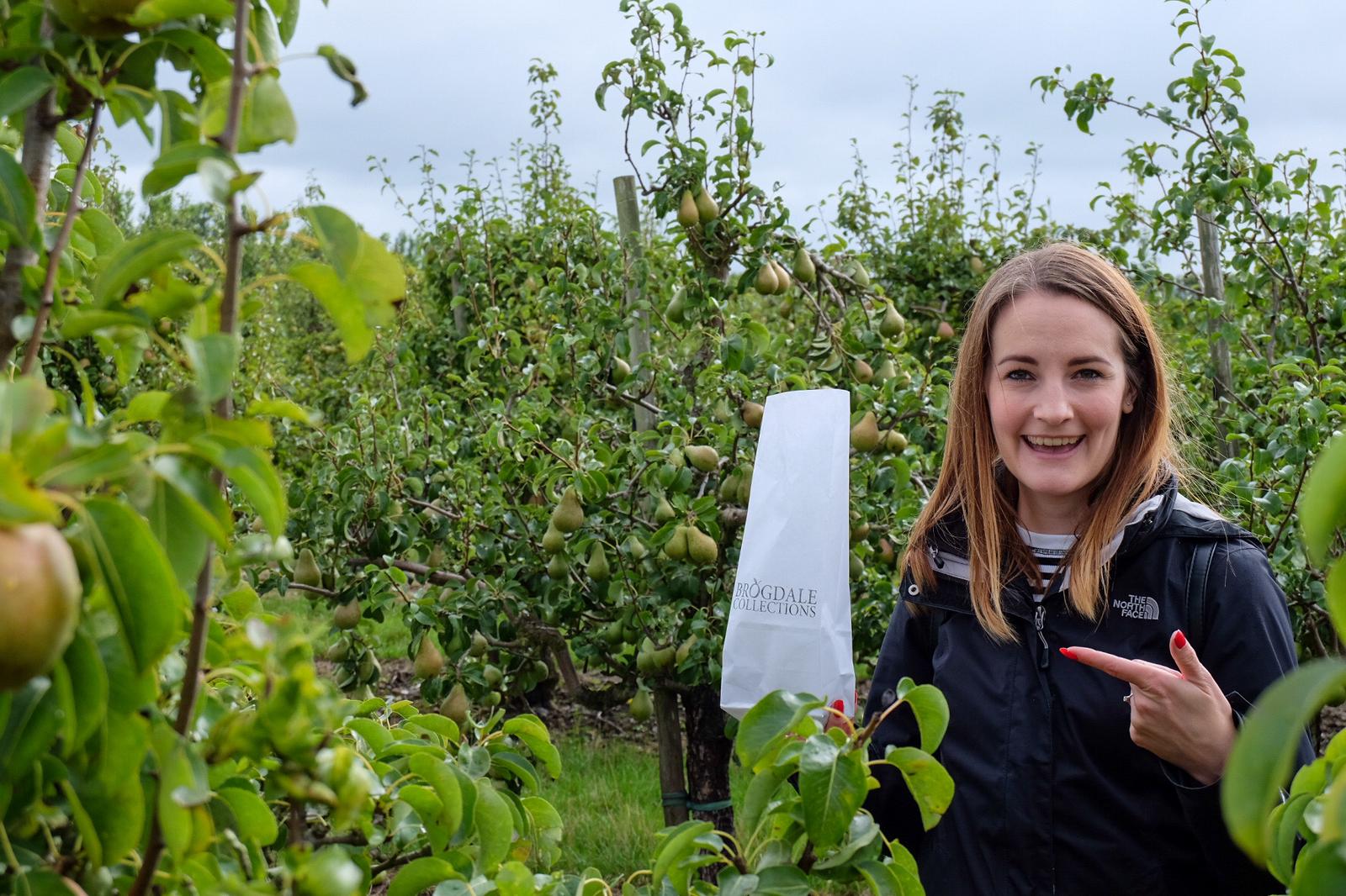 PHOTO 2020 09 10 22 04 14