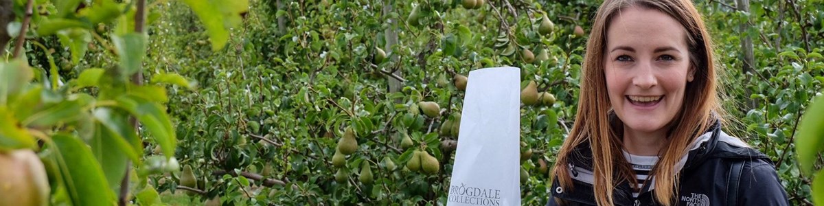 PHOTO 2020 09 10 22 04 14