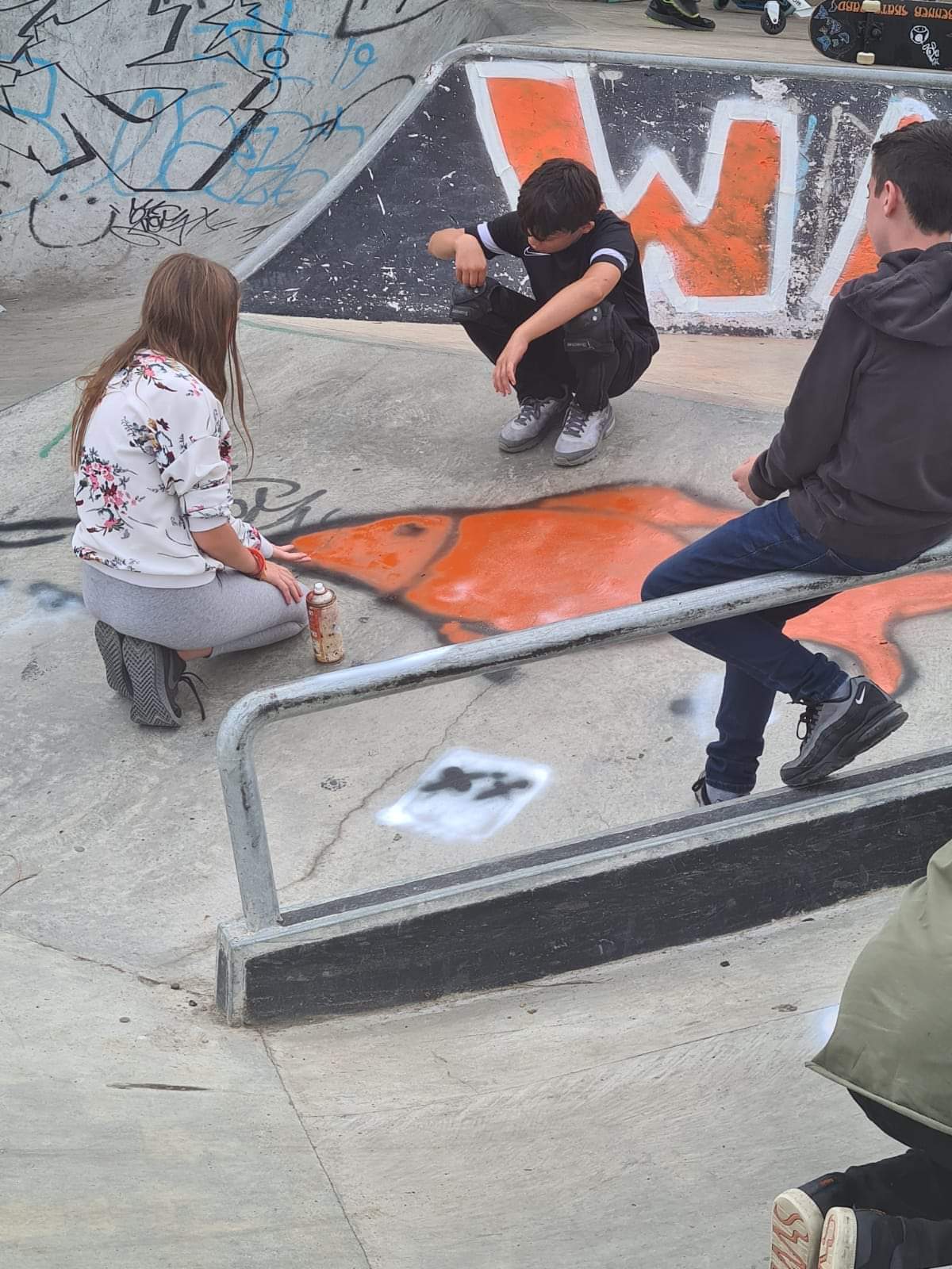 Skate Park SMSP Image 1