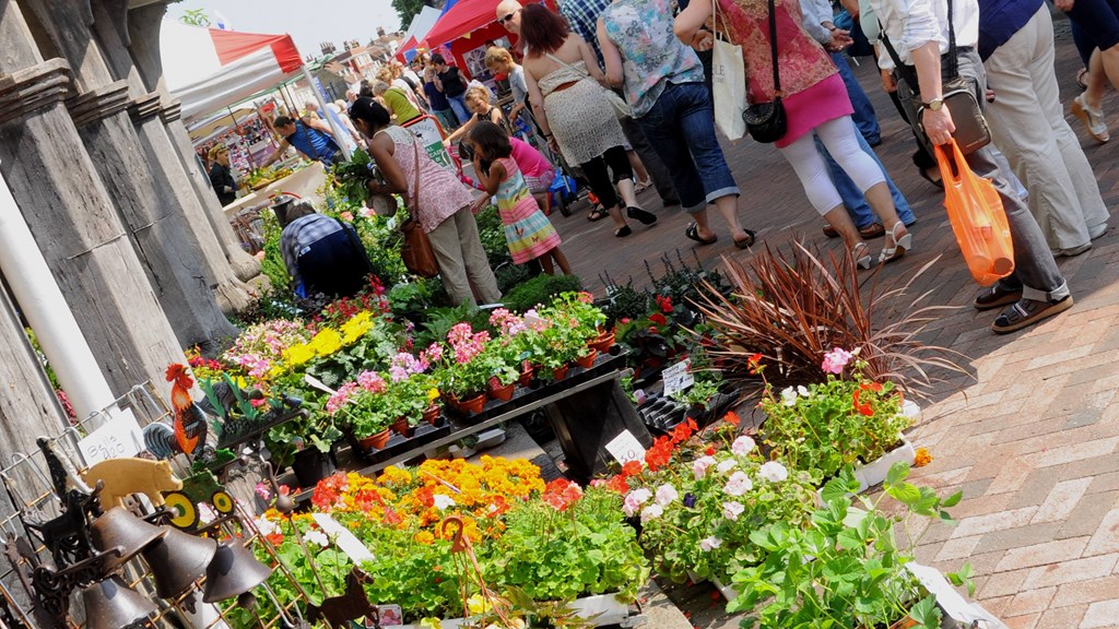 Plants, Guildhall.JPG