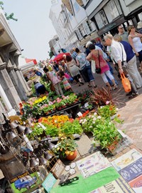 Plants, Guildhall.JPG