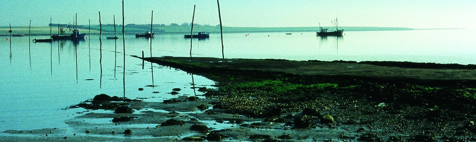 Harty Ferry Swale Estuary