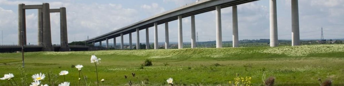 Sheppey Bridges Profile Image.jpg