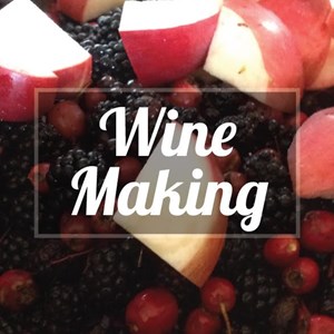 d0311f5e-c927-46d5-808c-c52cc8e4969b-Wine-Making-207.21x207.21.jpg