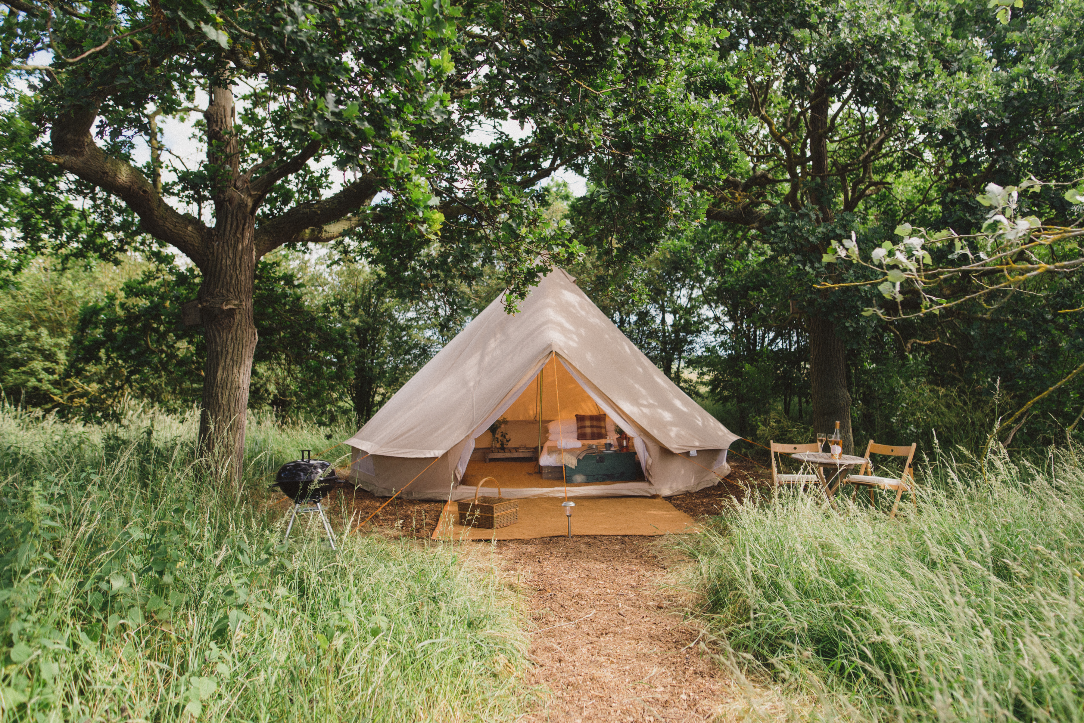 Elmley Nature Reserve June 2020 55