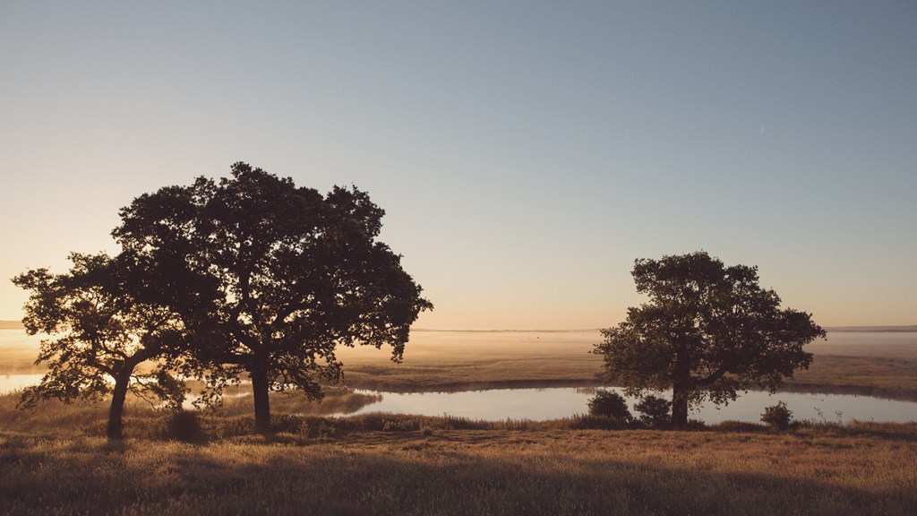 Elmley Nature Reserve Sunrise Tuesday 30Th June 2015 149