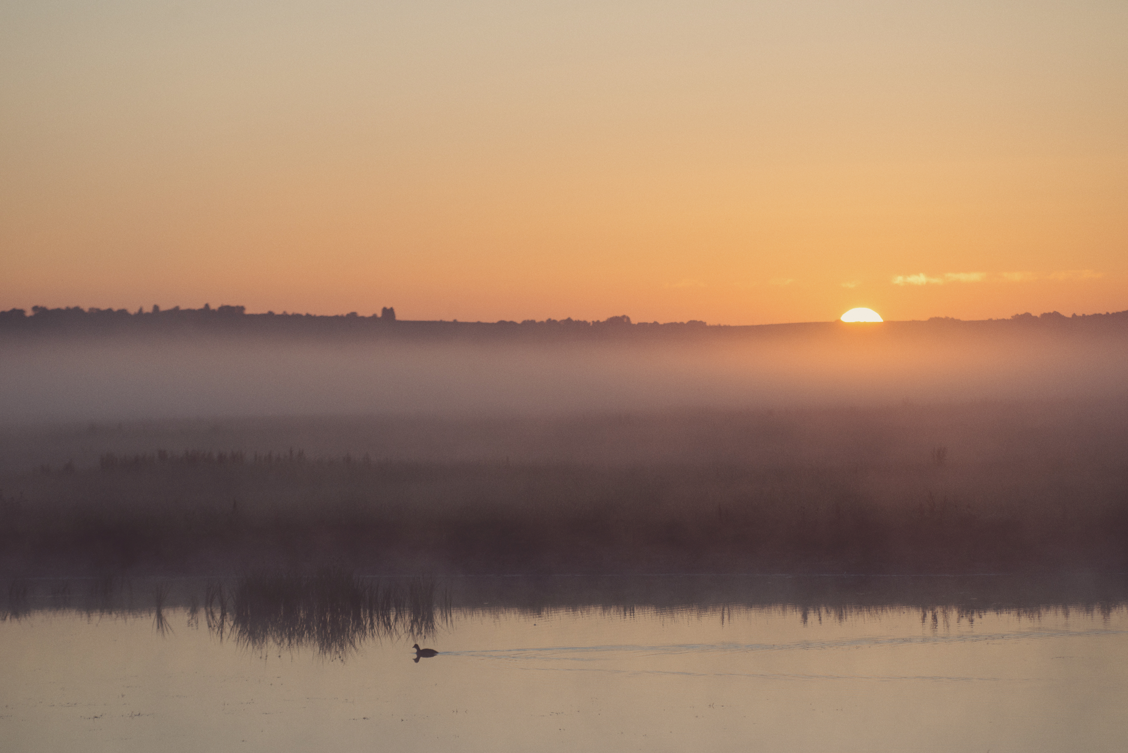 Elmley Nature Reserve Sunrise Tuesday 30Th June 2015 88