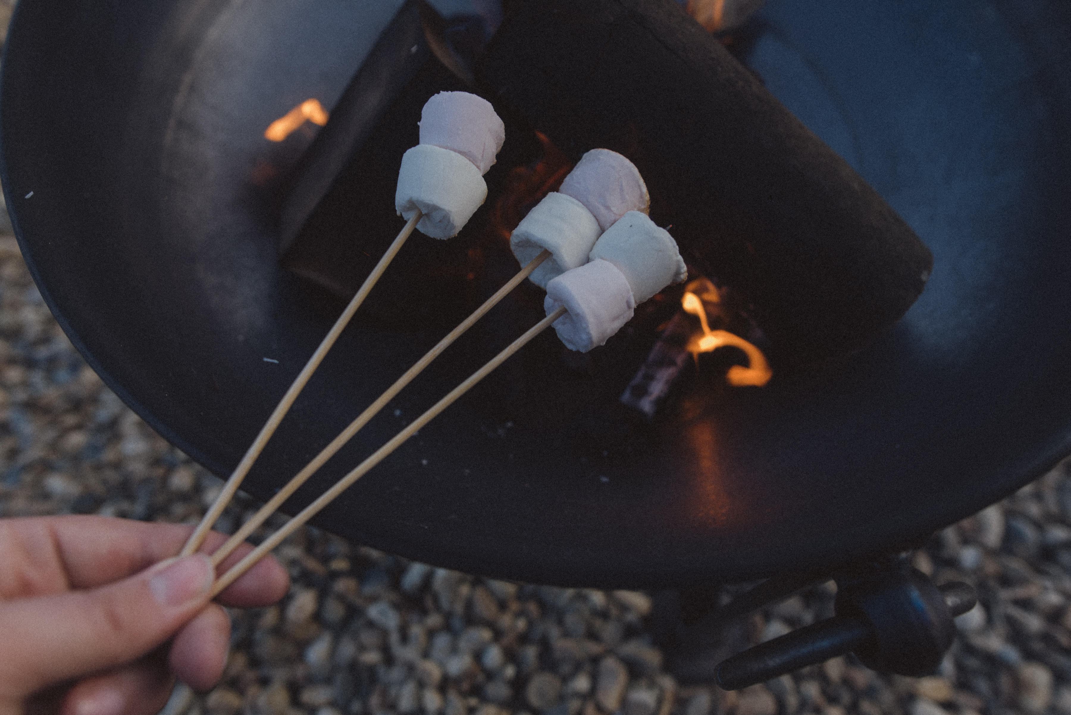 Elmley The Ferryman 117