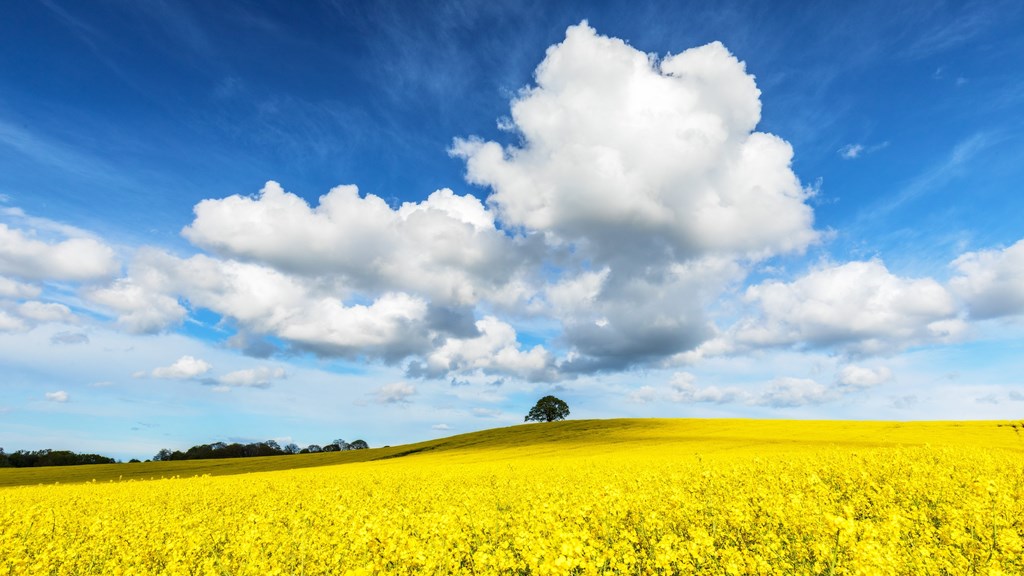 Alex Hare Guide Image Photo