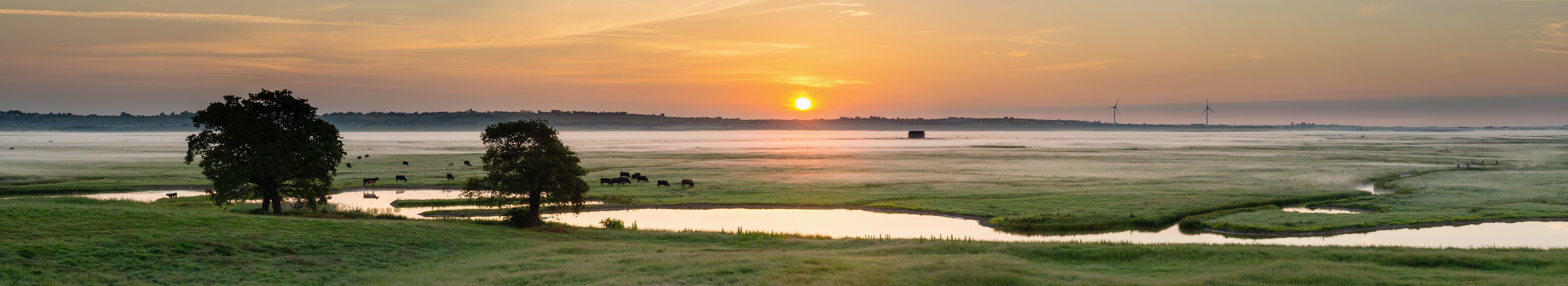 Elmley Nature Reserve