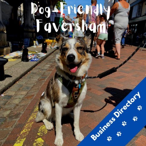 Dog Friendly Faversham Directory Snip