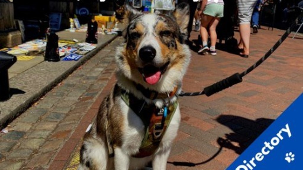 Dog Friendly Faversham Directory Snip