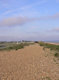 Shingle Bank Minster.jpg