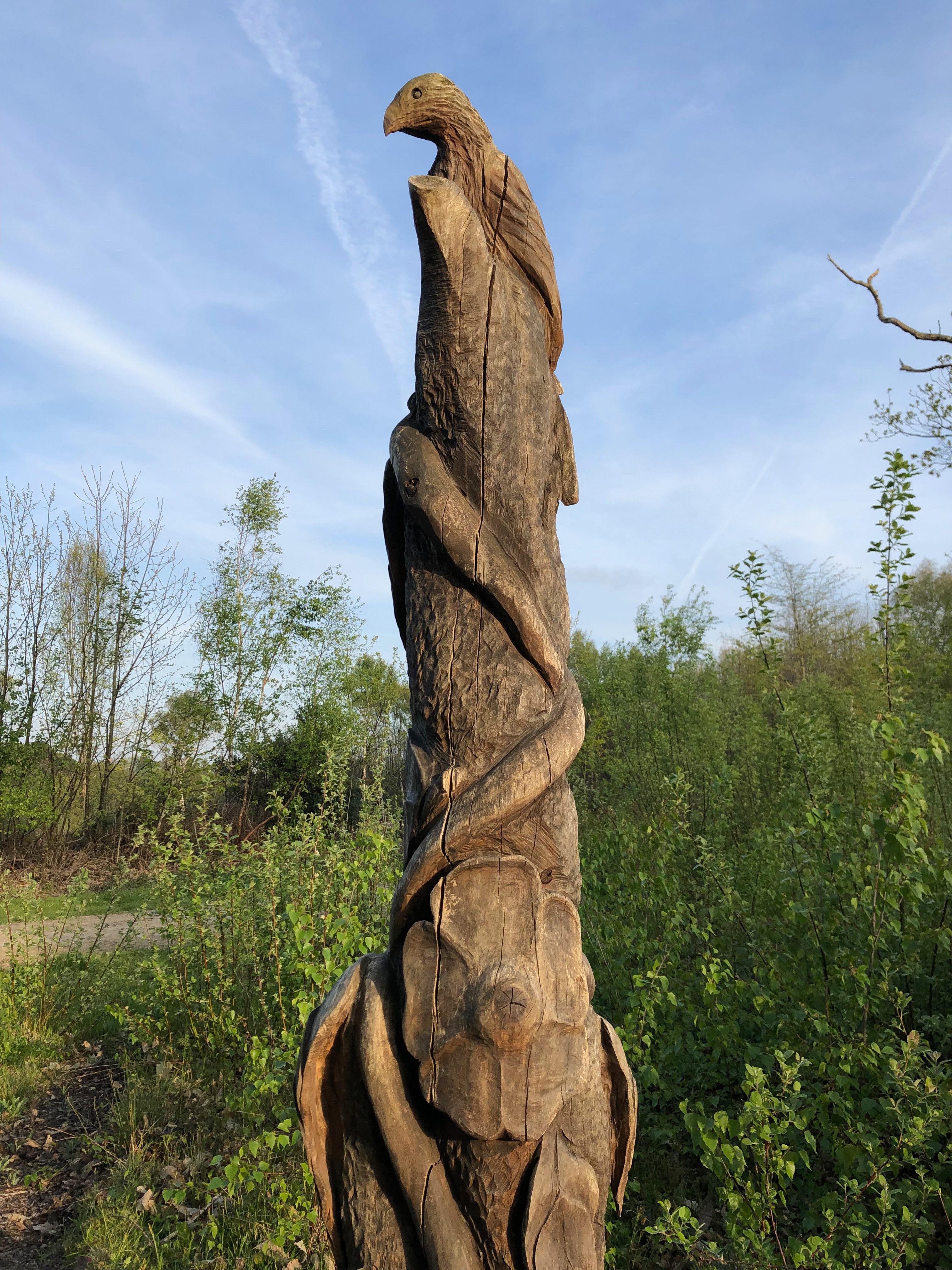 Cromers Sparrowhawk 3872 AR