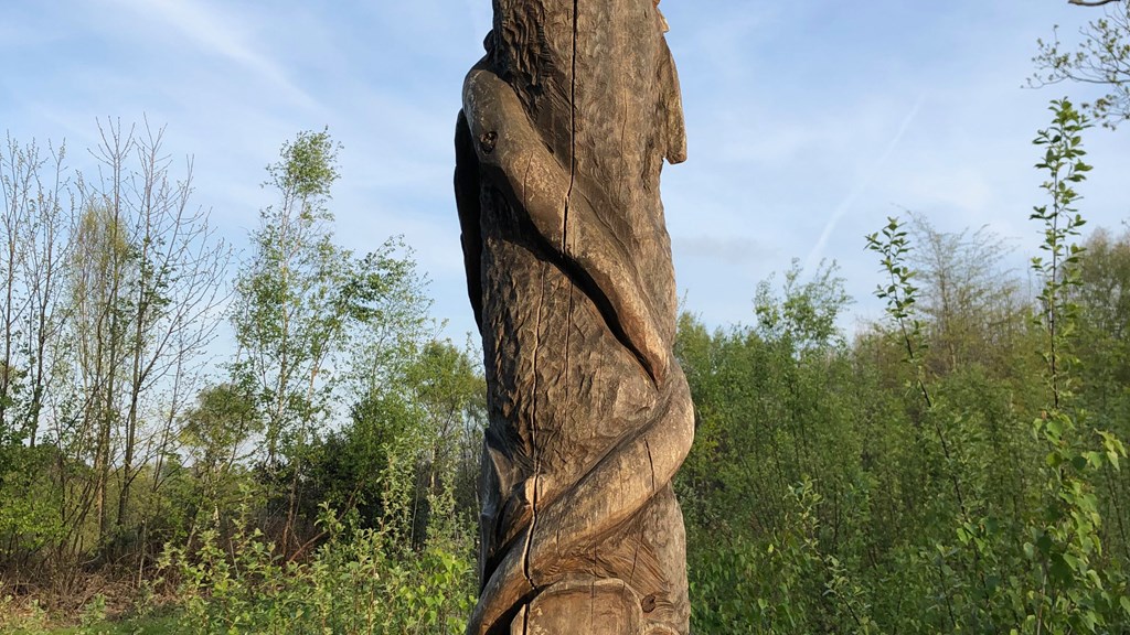 Cromers Sparrowhawk 3872 AR