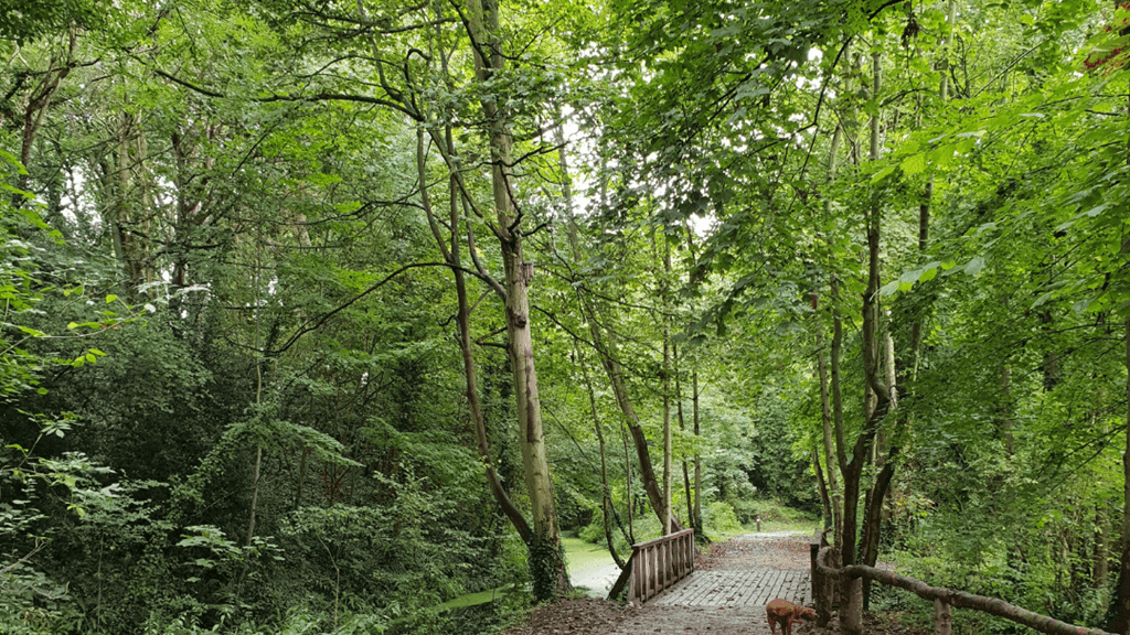 Oare Gunpowder Works