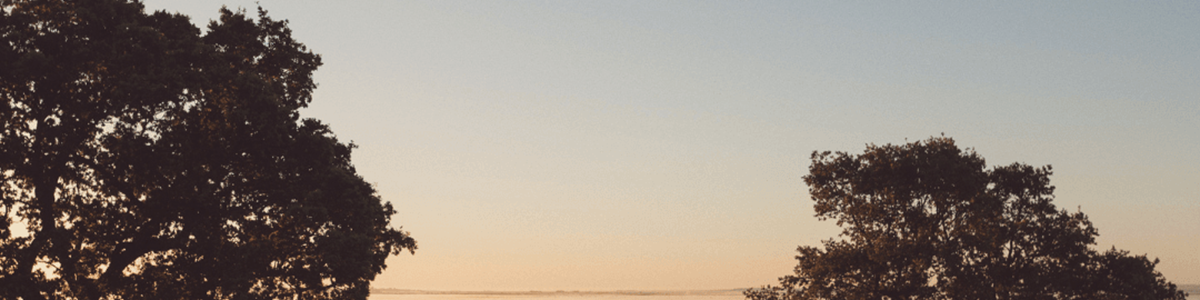 Elmley Nature Reserve